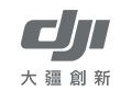 大疆 (3)